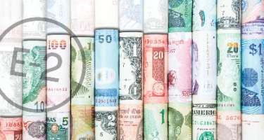 (E-2) Visa Reform