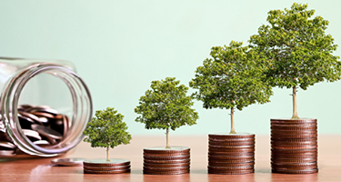 Stacks of coins growing higher with trees standing on top