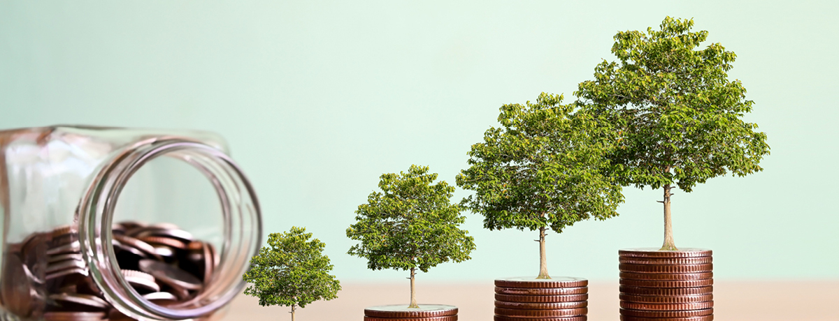 Stacks of coins growing higher with trees standing on top