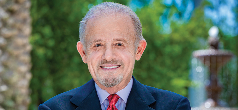 A Look at Steve Yerrid's Florida Legal Work