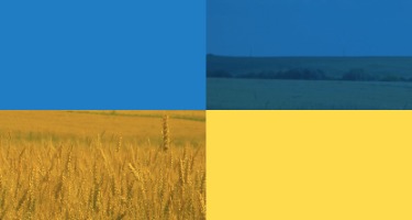 Four panel images with blue and yellow resembling the Ukrainian flag with agricultural background