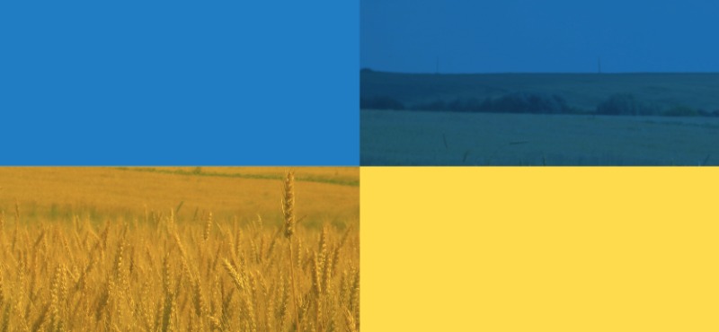 Attracting Investors Ukraine