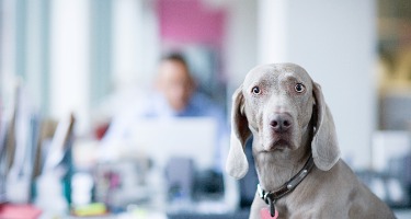 Image that aligns with article content.