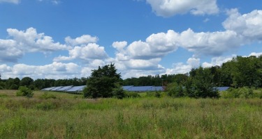 Landscape view of a wide field with scattered clouds above