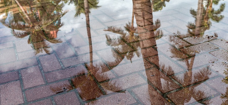 Climate Change Impact on Florida Real Estate