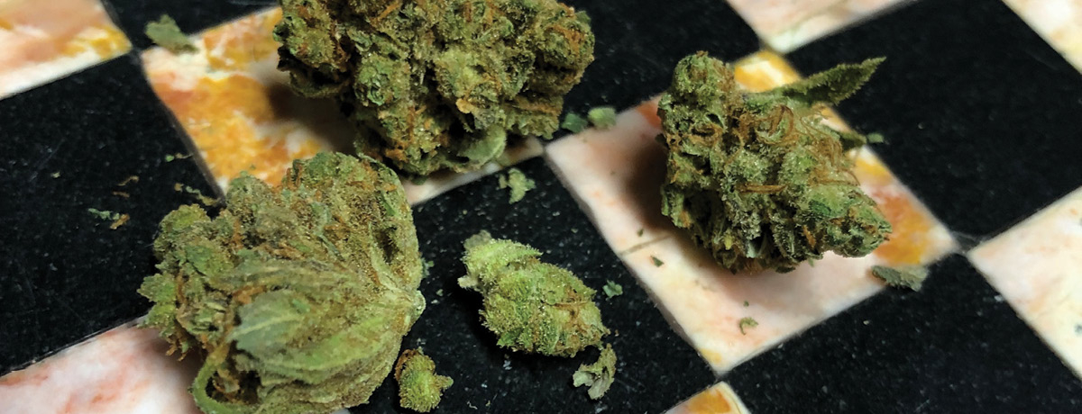 Cannabis buds sitting on a checkerboard tabletop