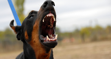 Image that aligns with article content.