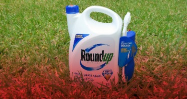 Green grass with a blue bottle of RoundUp on the grass with a red line 