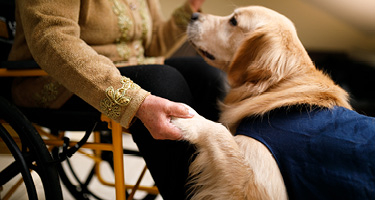 French Court's Untraditional Colleague