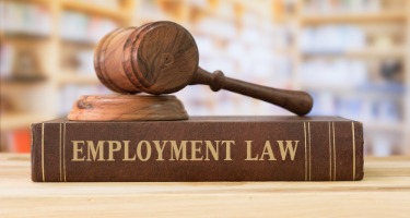 Canada's employment law rules with a sound block with a gavel