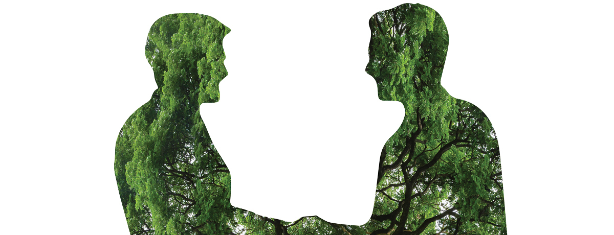 Trees fill two silhouettes shaking hands