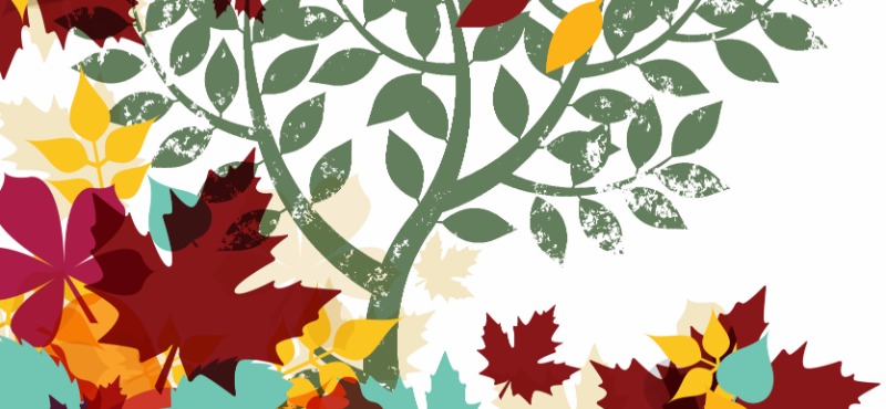 Financial Institutions in Autumn