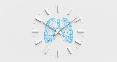Blue lungs behind white clock