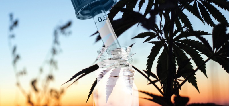 Hemp Industry 