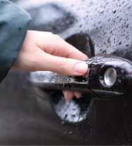 Here's Why Young Adults in Florida are Respon