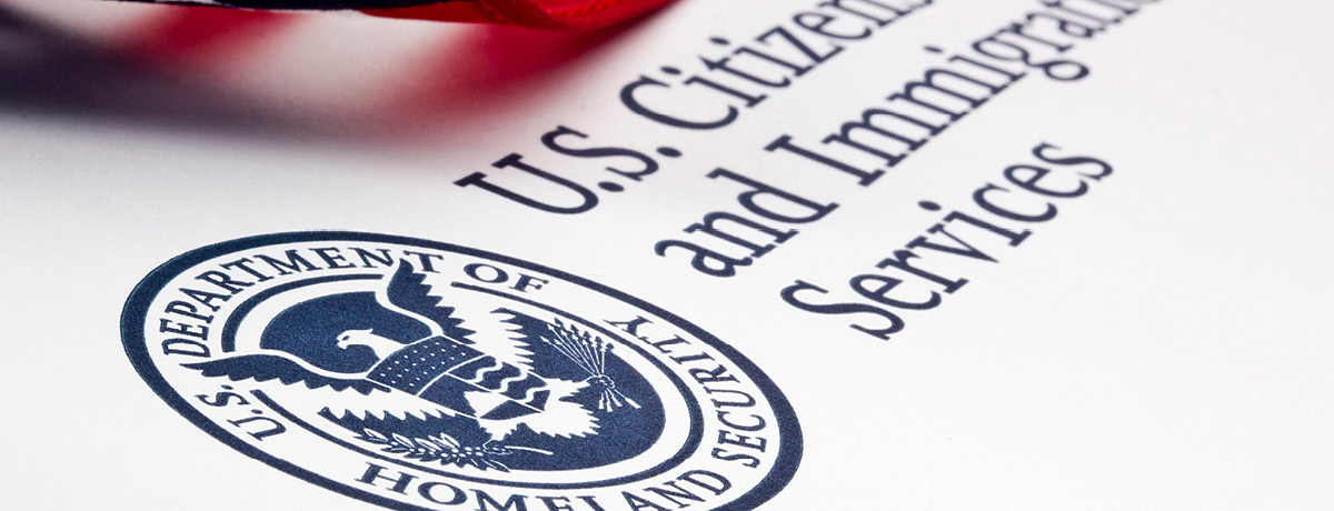 Department of Homeland Security logo with American flag in the backdrop