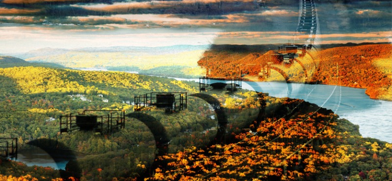 How Environmental Nonprofits Got Their Start