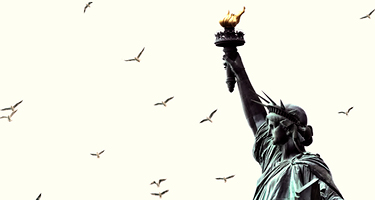 View of the Statue of Liberty with birds in backdrop