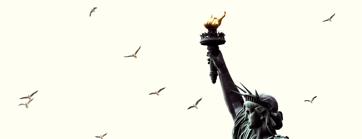 View of Statue of Liberty with birds in backrop