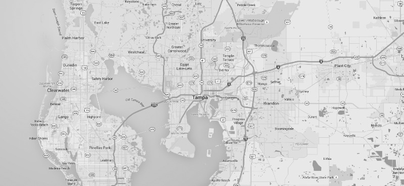 In the News Florida: Tampa Edition 2017