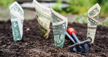 Rolled-up banknotes partially buried in dirt.