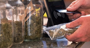 Legalizing Marijuana in Indiana