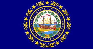 Blue and Gold State Flag of New Hampshire