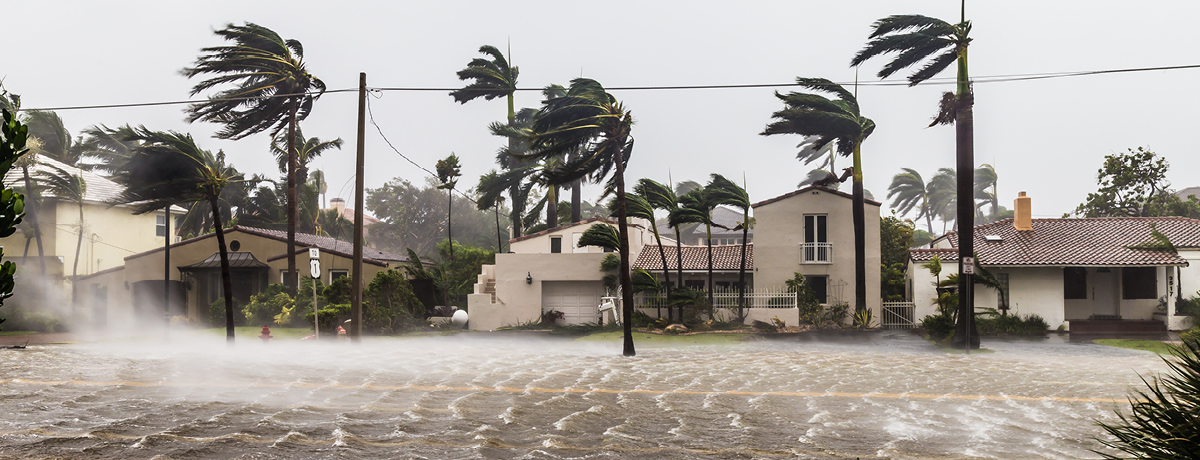 Trees blowing in flood waters and storm