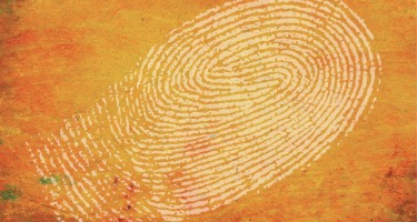 Image that aligns with article content.