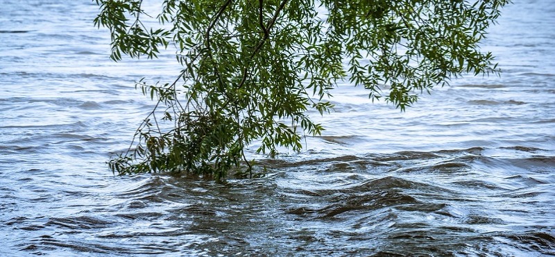 Stormwater Regulations