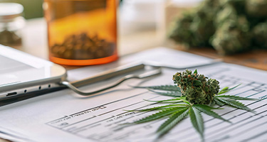 Personal injury RICO claims marijuana hed