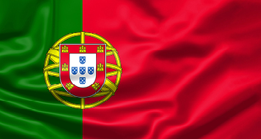 Green and red Portuguese flag