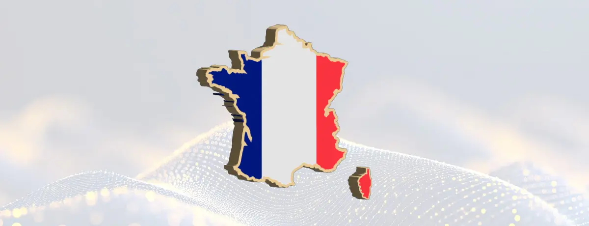3D Map of France with National Flag Graphic