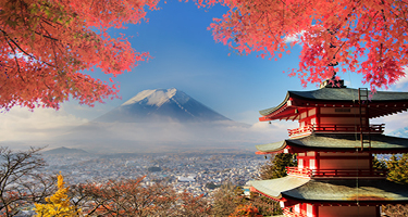 Mt. Fuji in the background with fall leaves and structure in the front