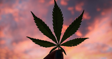 Image that aligns with article content.