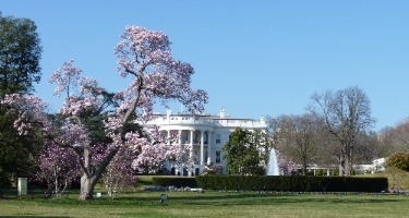 White House waits for inauguration Day for Answers 