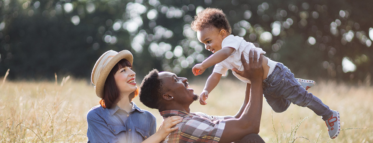 family law changes headline