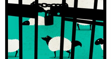 Image that aligns with article content.