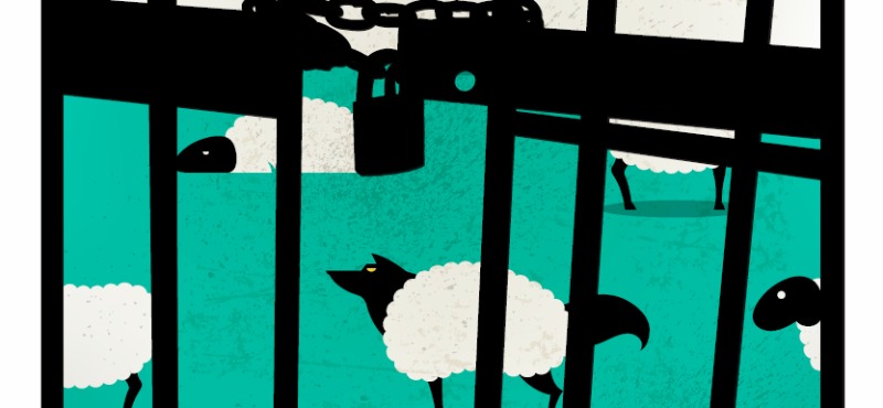 White-Collar Sentencing