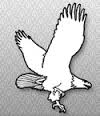Craig L. Truman PC Logo