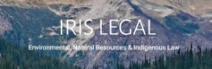 Iris Legal Law Corporation Logo
