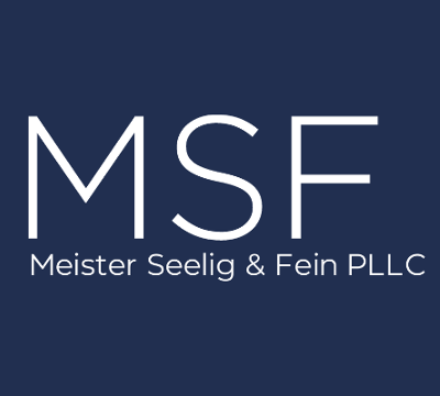 Logo for Meister Seelig & Fein PLLC