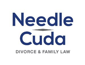 Logo for Needle | Cuda