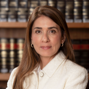 Fabiana Videira Lopes