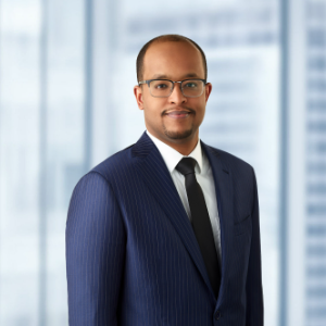 Mahdi M. Hussein