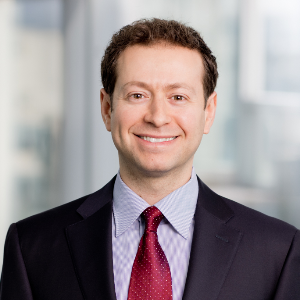 Mark L. Hanin