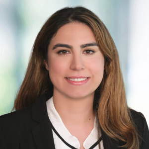 Sasha Jamshidi
