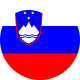 Country flag for Slovenia