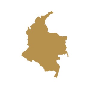 Announcing 2024 The Best Lawyers in Colombia Honors