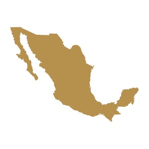 Gold Map of Mexico